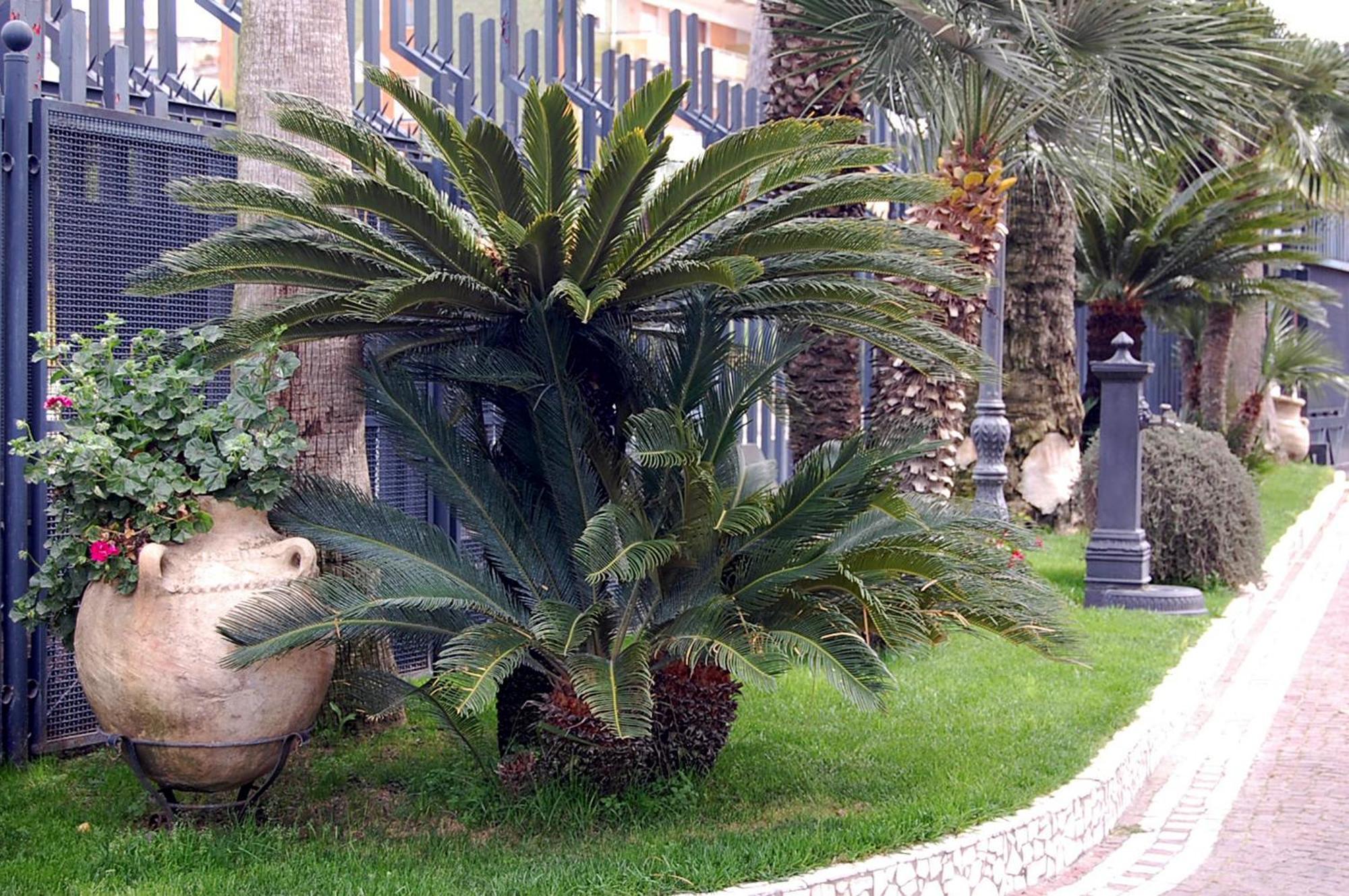 Hotel Ristorante Donato Calvizzano Exterior foto
